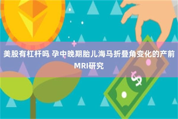 美股有杠杆吗 孕中晚期胎儿海马折叠角变化的产前MRI研究