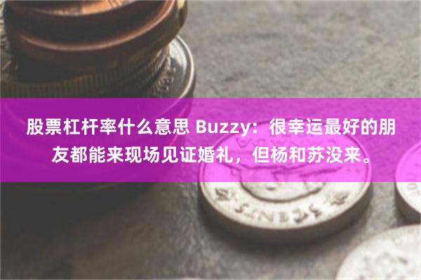 股票杠杆率什么意思 Buzzy：很幸运最好的朋友都能来现场见证婚礼，但杨和苏没来。