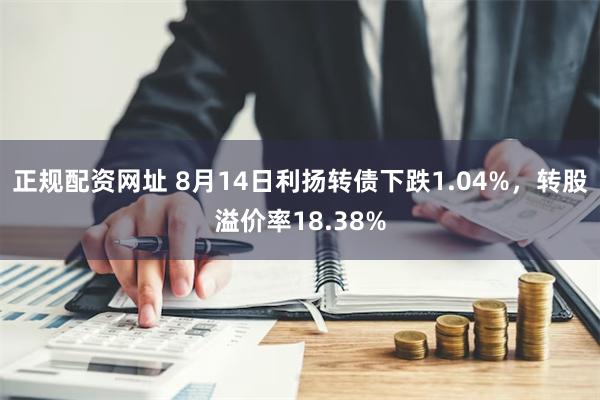 正规配资网址 8月14日利扬转债下跌1.04%，转股溢价率18.38%