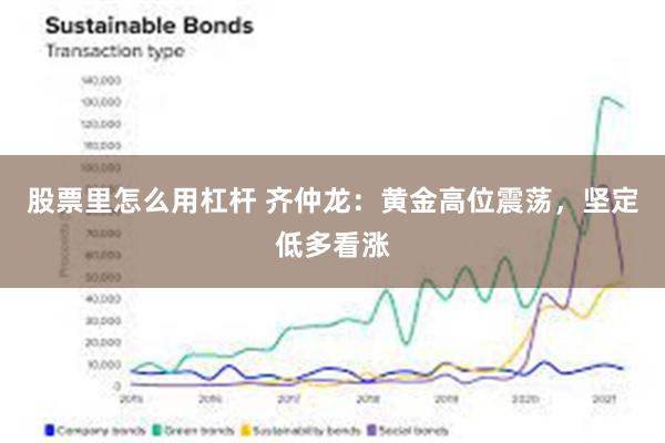 股票里怎么用杠杆 齐仲龙：黄金高位震荡，坚定低多看涨