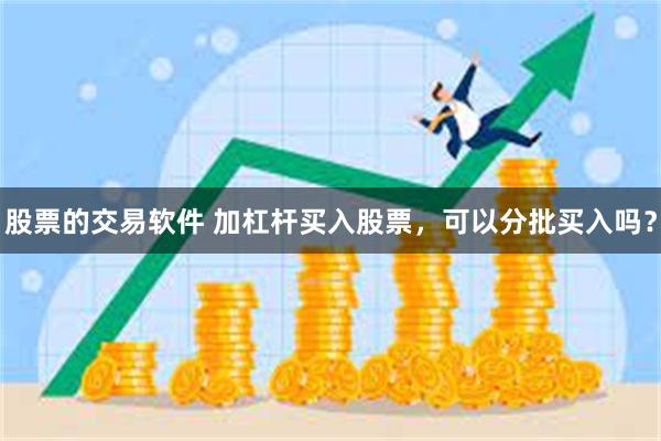 股票的交易软件 加杠杆买入股票，可以分批买入吗？