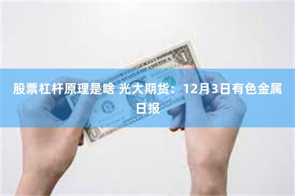 股票杠杆原理是啥 光大期货：12月3日有色金属日报