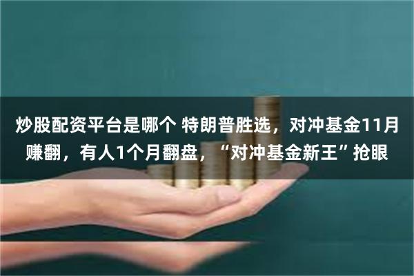 炒股配资平台是哪个 特朗普胜选，对冲基金11月赚翻，有人1个月翻盘，“对冲基金新王”抢眼