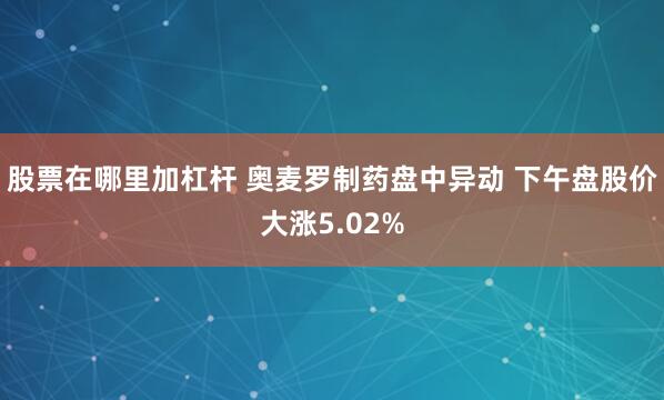 股票在哪里加杠杆 奥麦罗制药盘中异动 下午盘股价大涨5.02%