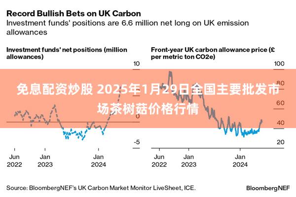 免息配资炒股 2025年1月29日全国主要批发市场茶树菇价格行情