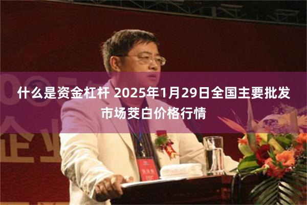 什么是资金杠杆 2025年1月29日全国主要批发市场茭白价格行情