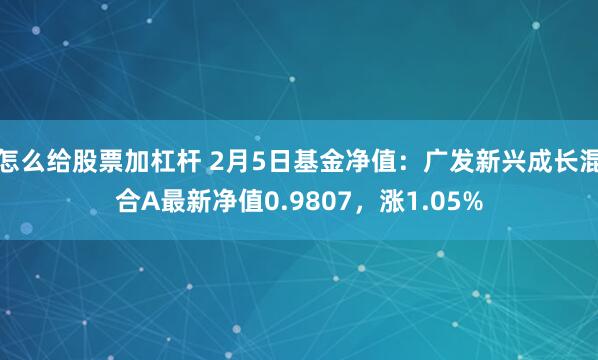 怎么给股票加杠杆 2月5日基金净值：广发新兴成长混合A最新净值0.9807，涨1.05%