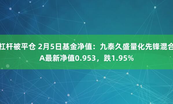 杠杆被平仓 2月5日基金净值：九泰久盛量化先锋混合A最新净值0.953，跌1.95%