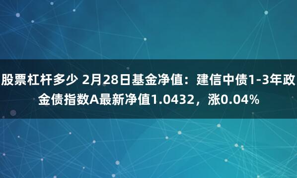 股票杠杆多少 2月28日基金净值：建信中债1-3年政金债指数A最新净值1.0432，涨0.04%