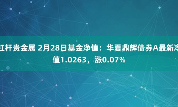 杠杆贵金属 2月28日基金净值：华夏鼎辉债券A最新净值1.0263，涨0.07%